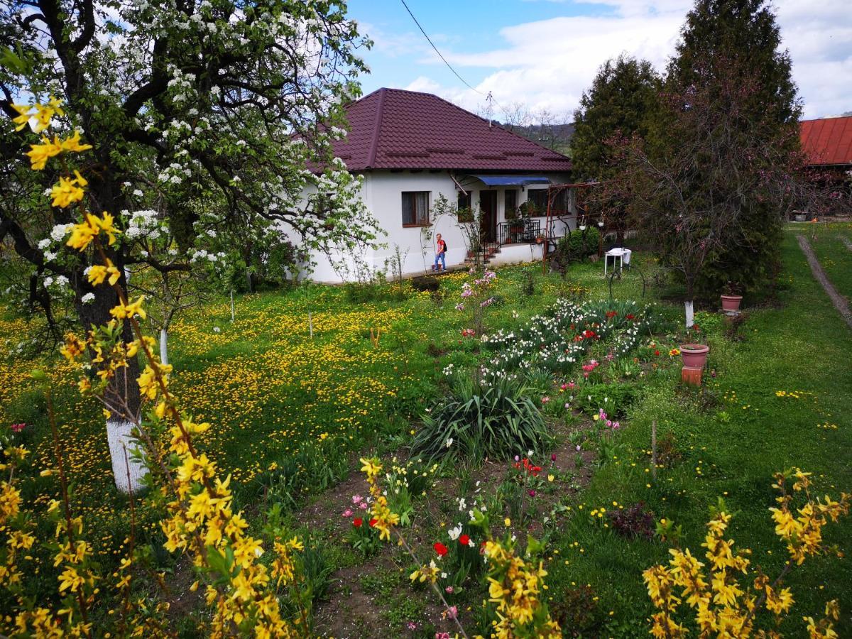 Вілла Casa Livada Bunicii Тиргу-Окна Екстер'єр фото