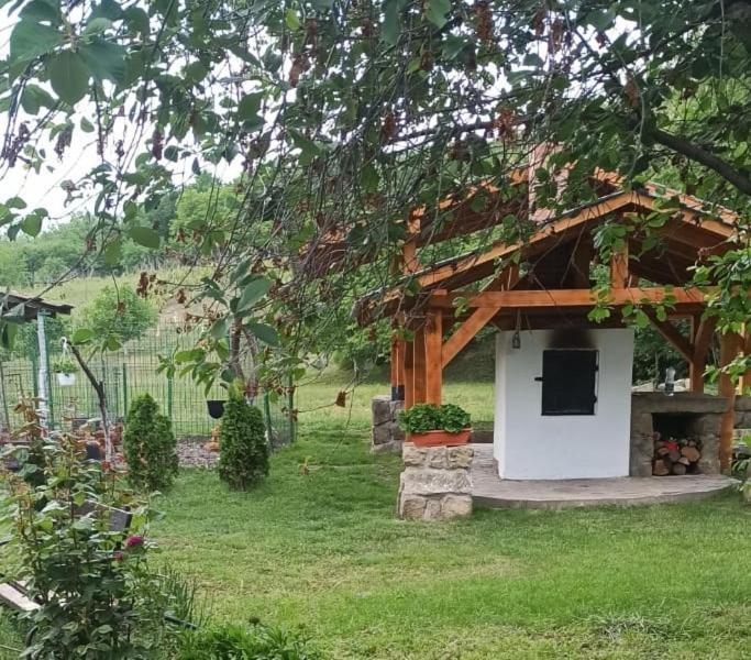 Вілла Casa Livada Bunicii Тиргу-Окна Екстер'єр фото
