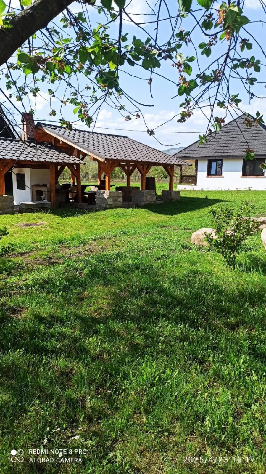 Вілла Casa Livada Bunicii Тиргу-Окна Екстер'єр фото