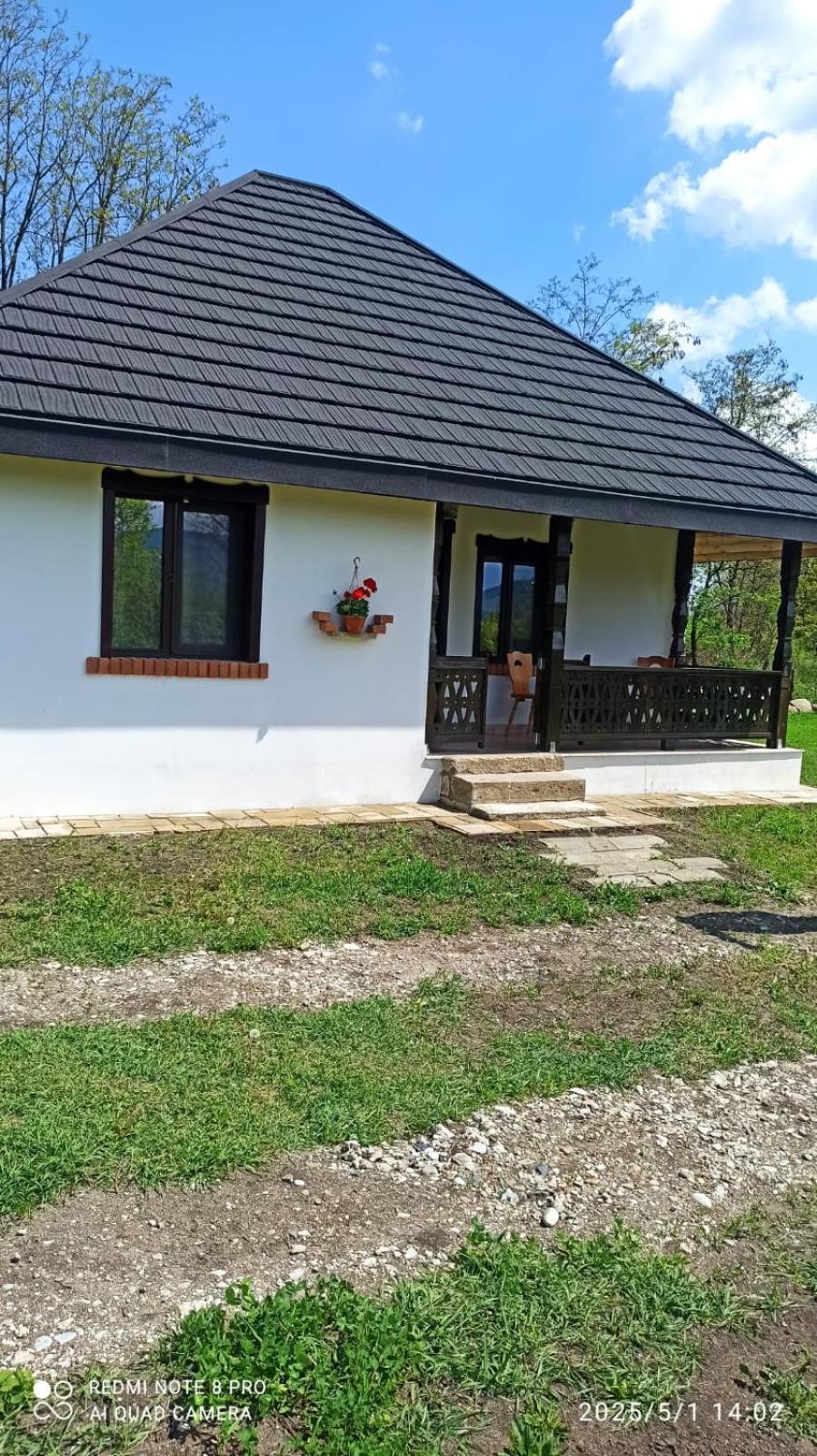 Вілла Casa Livada Bunicii Тиргу-Окна Номер фото